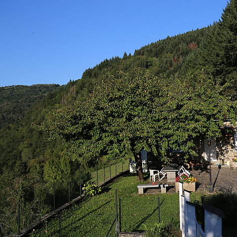 Hameau de Thouy