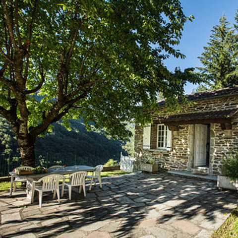 Hameau de Thouy- Le cerisier