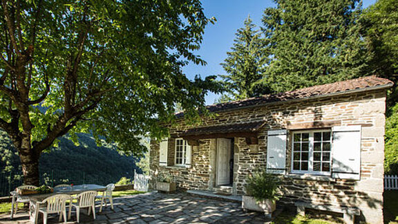 Hameau de Thouy- Le cerisier